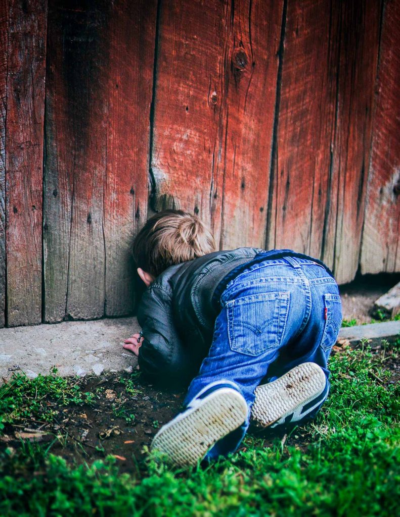 Freelance fotograf i Odense og på Fyn